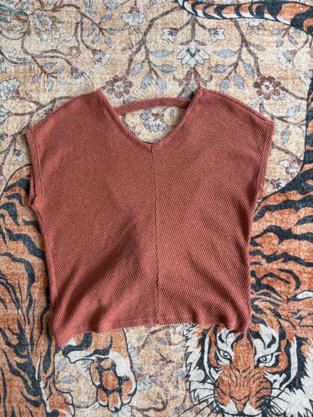 Ribbed V-Neck Cropped Top in Rust